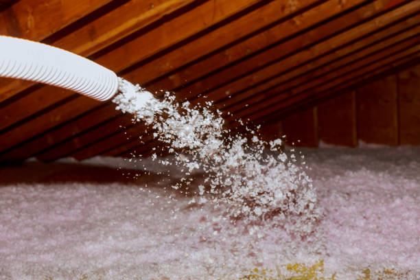 Best Insulation Repair Services  in Evans, CO