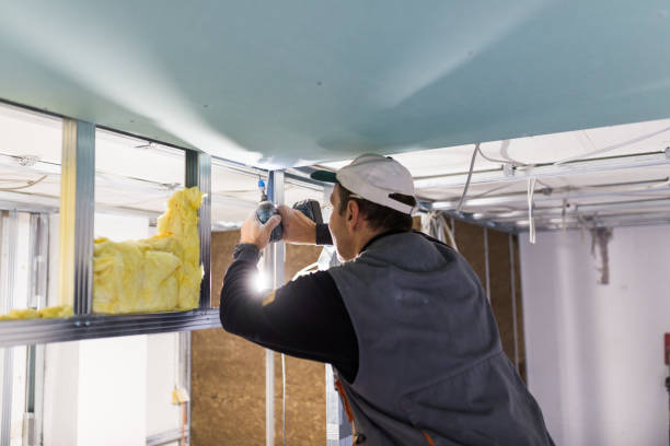 Best Local Insulation Services  in Evans, CO