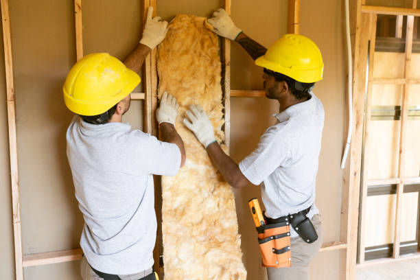 Best Insulation Inspection Services  in Evans, CO